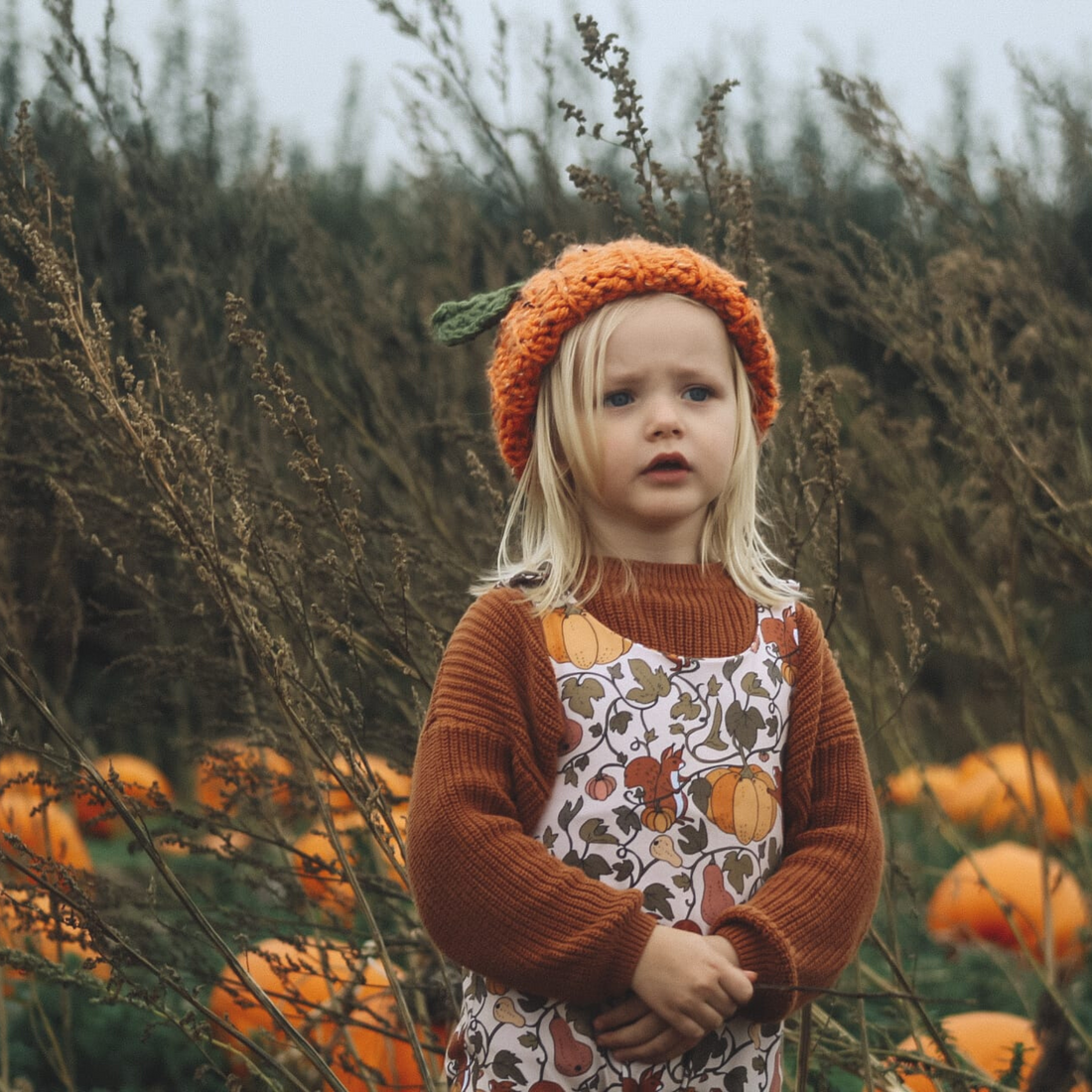 Autumn versus summer